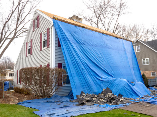 Best Carpet Removal and Disposal  in Manhasset Hills, NY